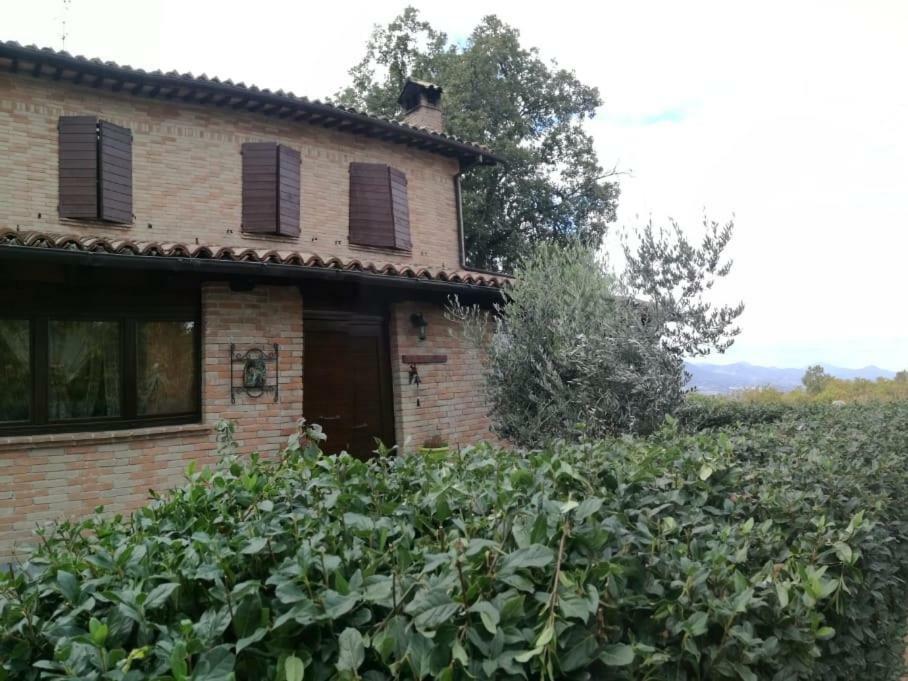 Il Castagneto Bed & Breakfast Камерино Екстериор снимка